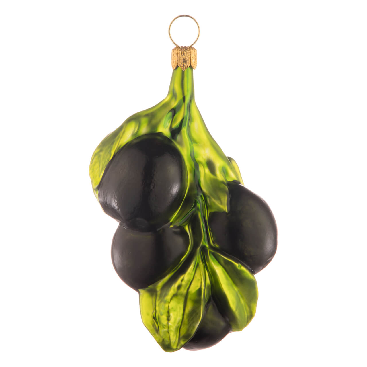 Rama de olivo Rama de olivo