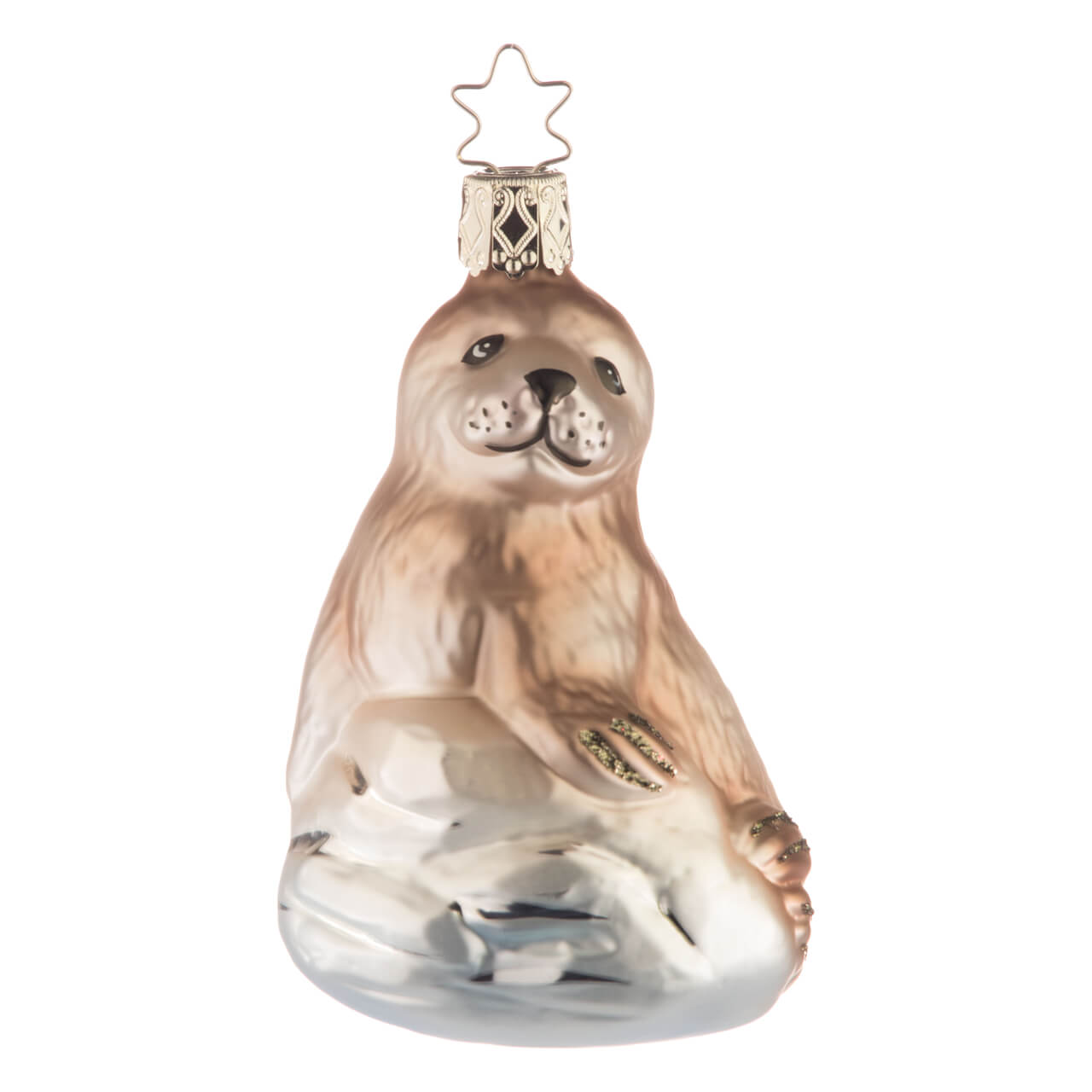 Bonita foca Bonita foca