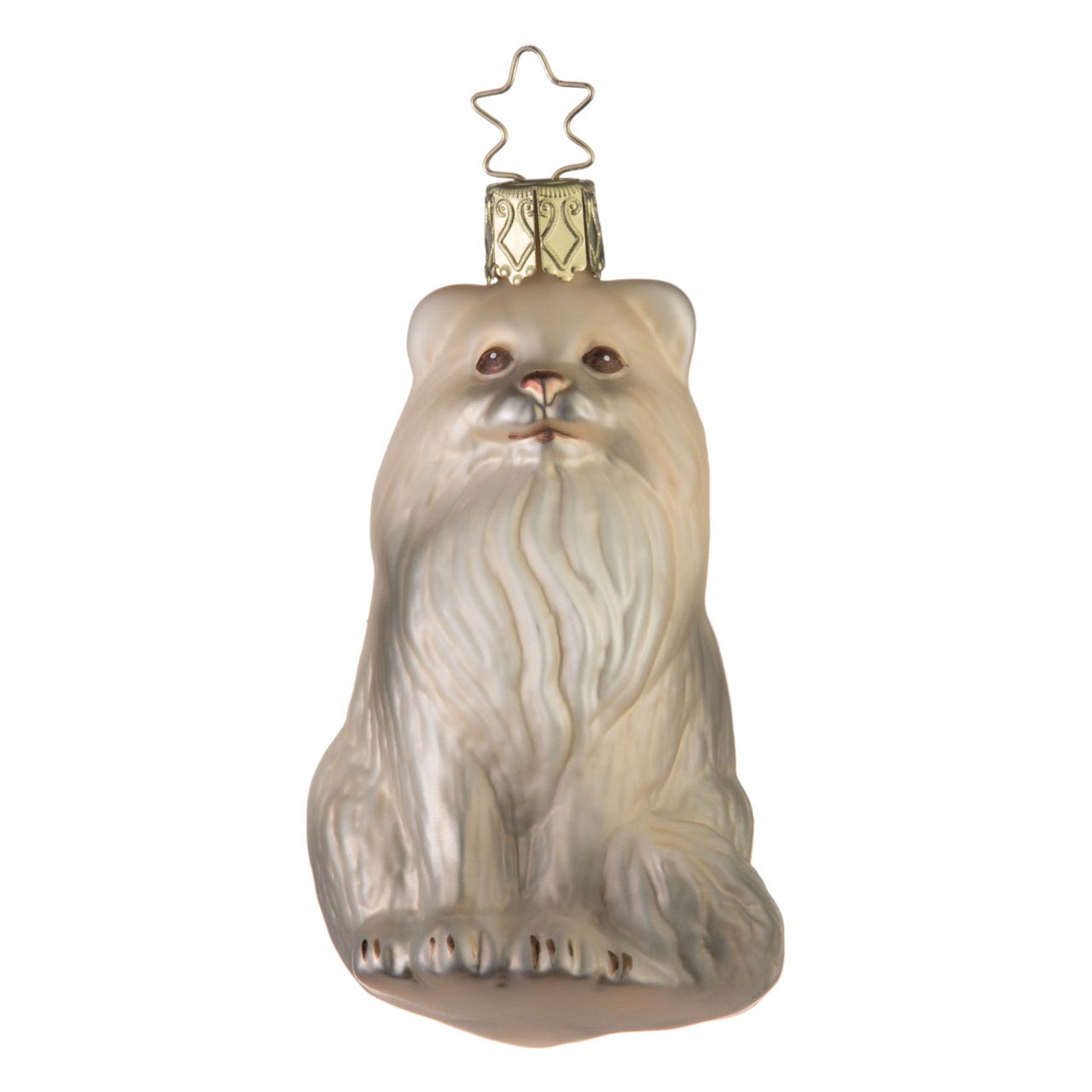 Gato persa Gato persa
