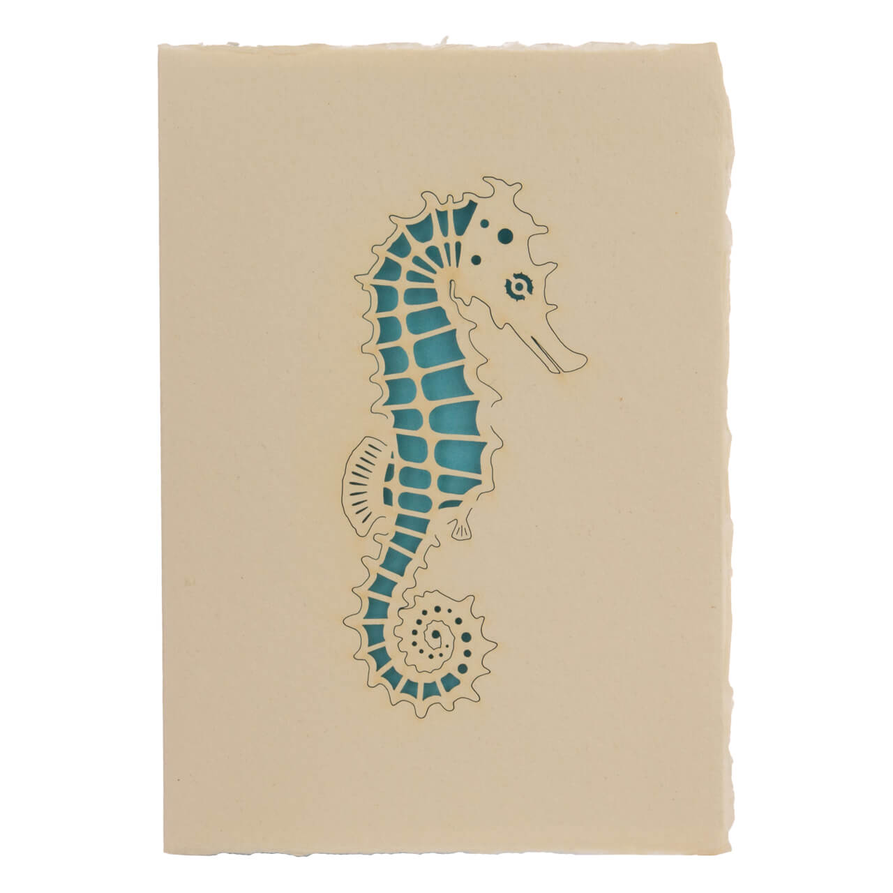 Caballito de mar Caballito de mar