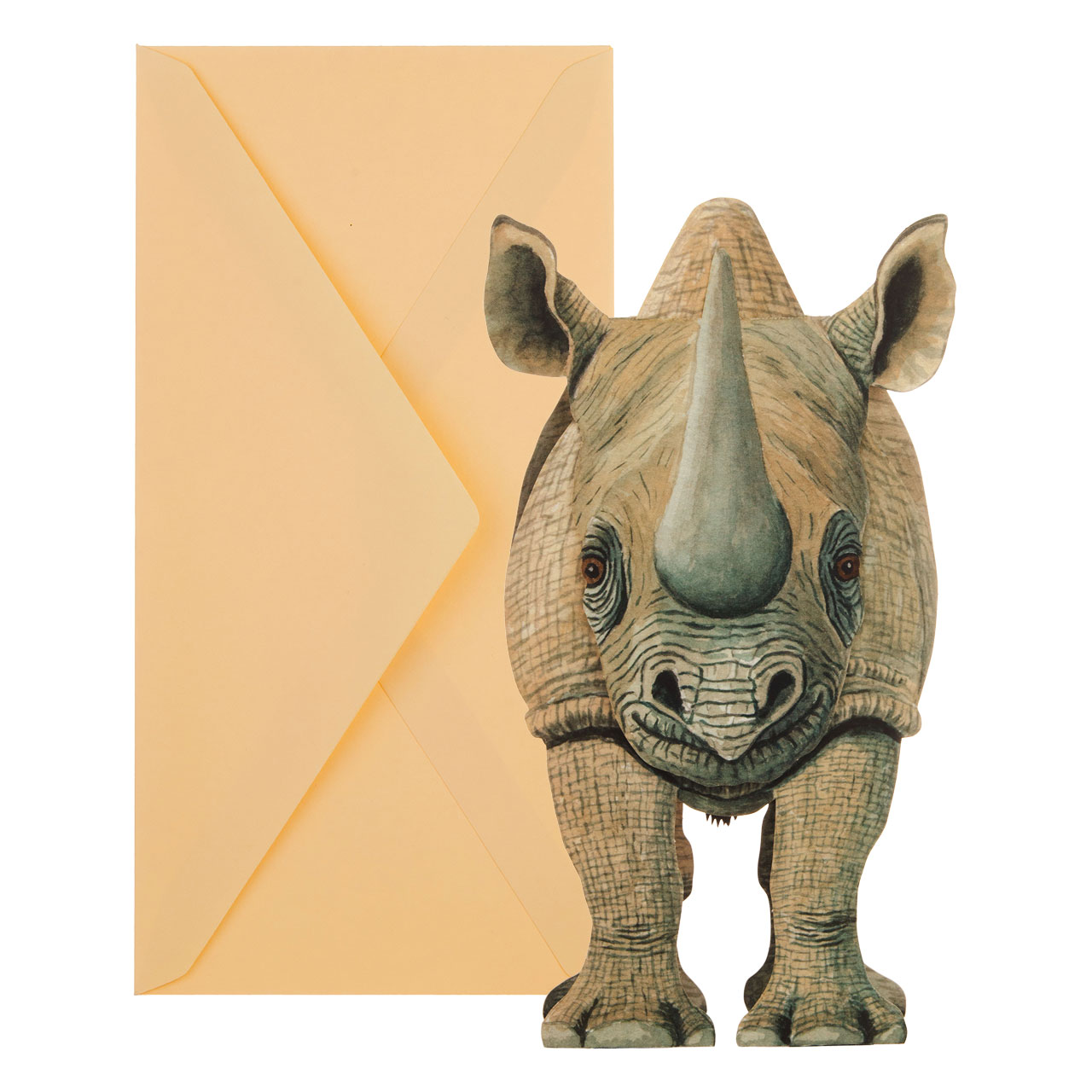 Rinoceronte Rinoceronte