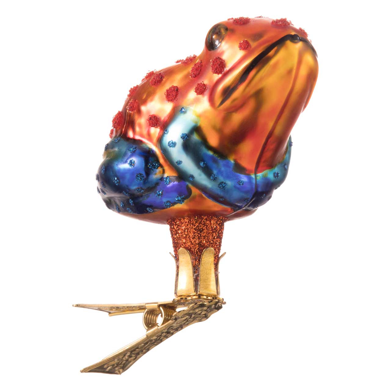 Rana venenosa Rana venenosa