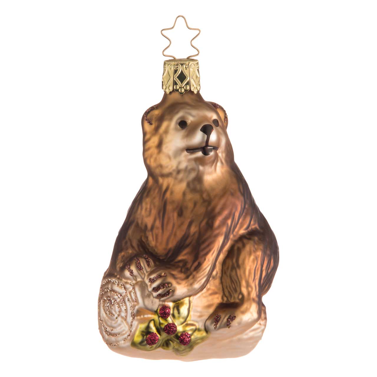 Oso Oso