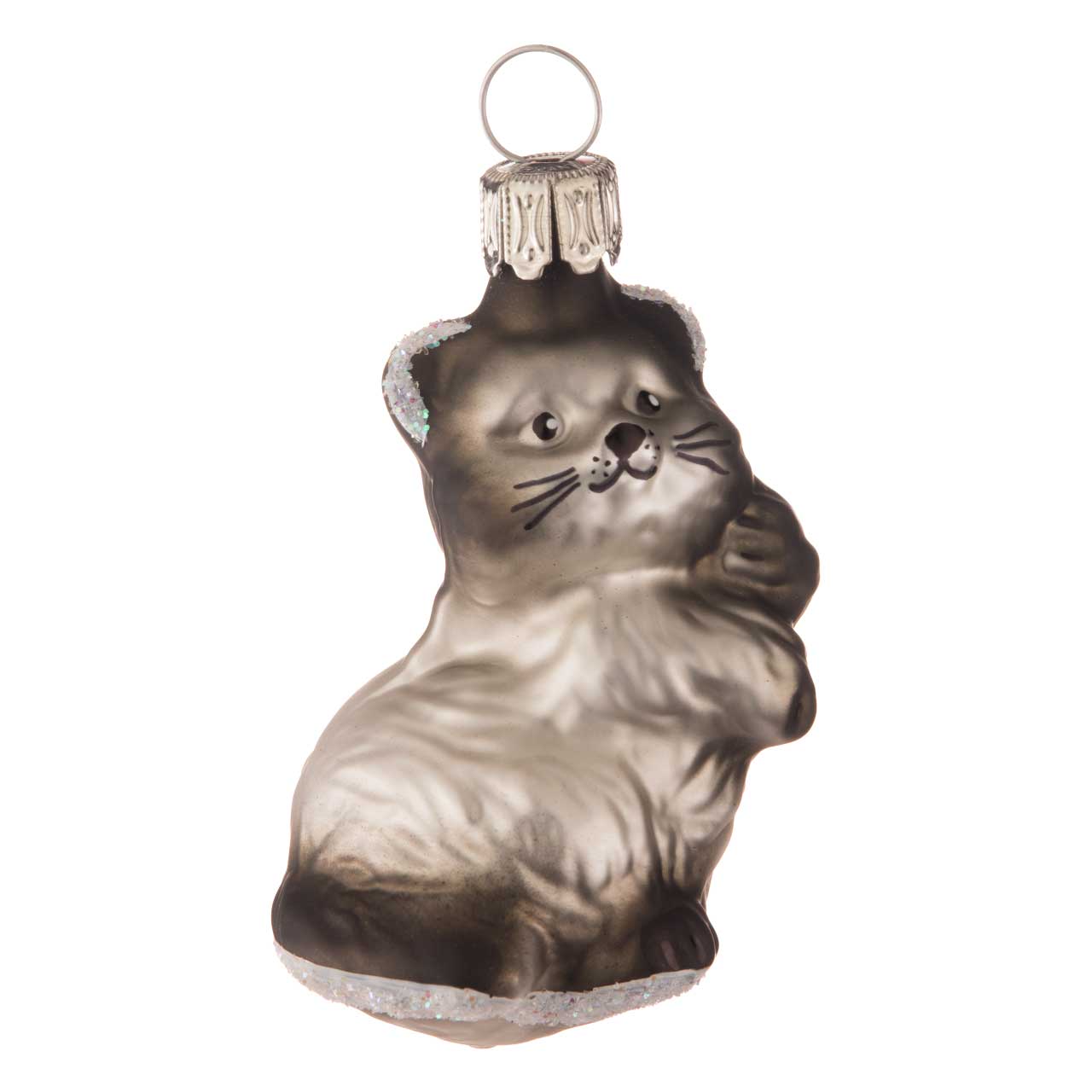 Gato bebé