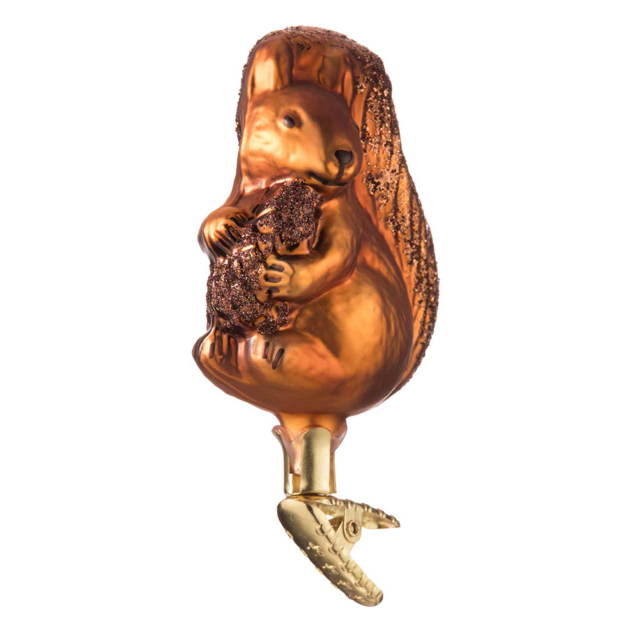 Ardilla Ardilla