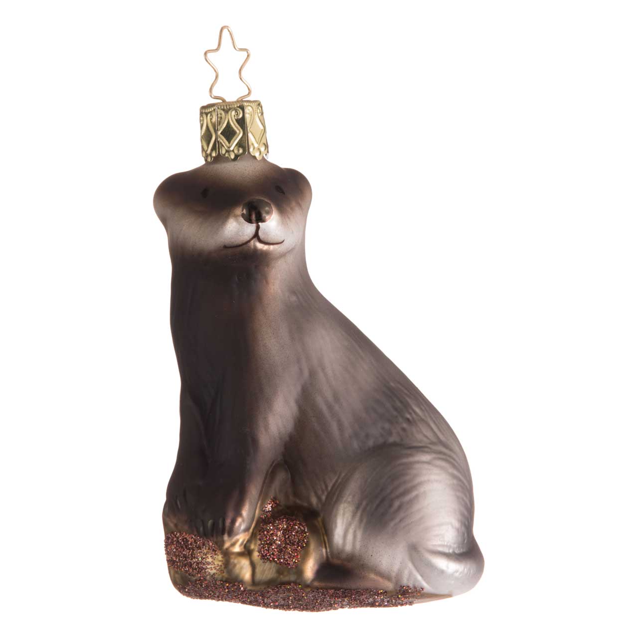Tejón Tejón